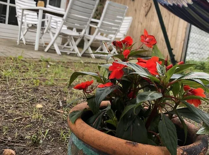 Lucie's B&B * Sint-Oedenrode