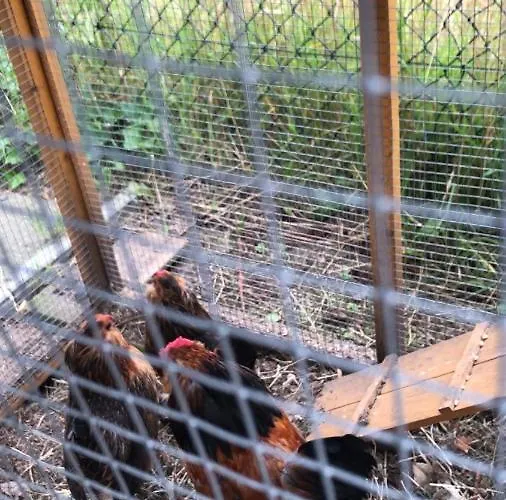 Bed & Breakfast Lucie'S B&B *