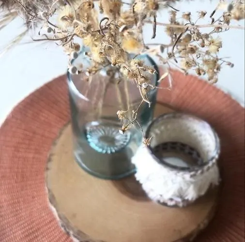 Bed & Breakfast Lucie'S B&B Sint-Oedenrode